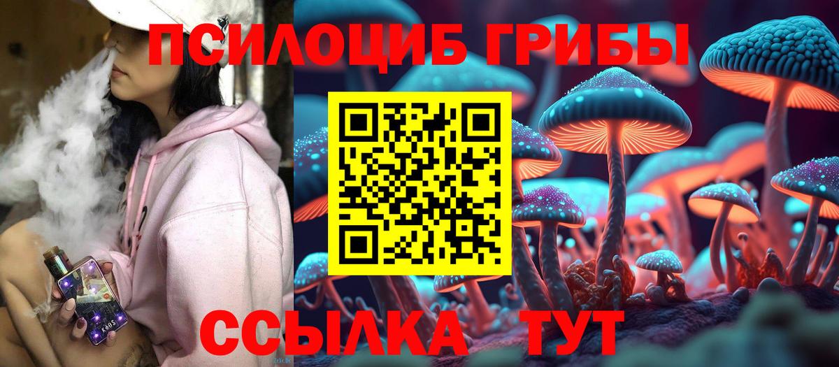 Дзержинский  Псилоцибиновые грибы GOLDEN TEACHER  где можно купить наркотик  Галлюциногенные грибы GOLDEN TEACHER  Вход с VPN 
